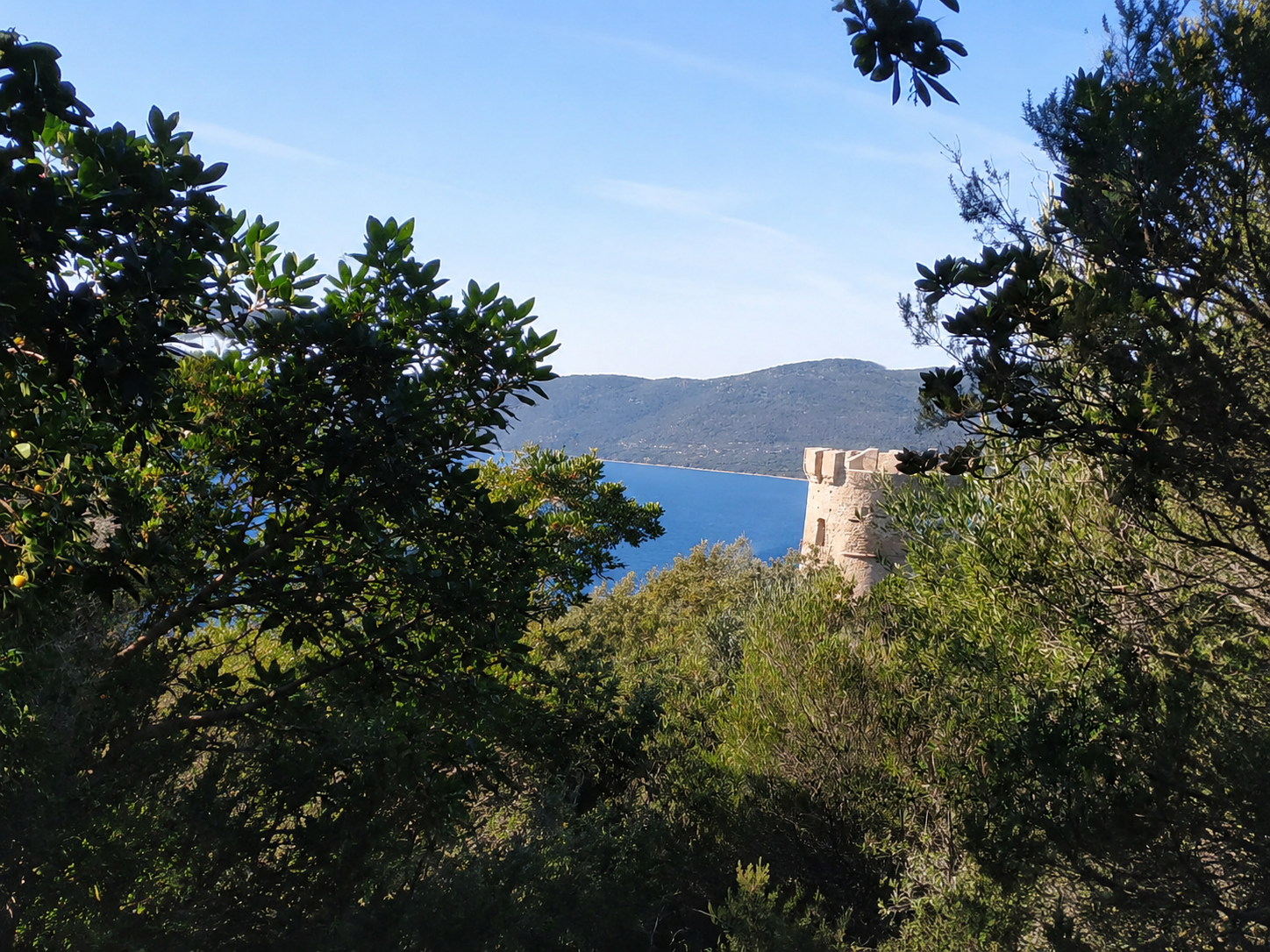 Ancienne tour génoise historique surplombant la mer en Corse-du-Sud près de Porto Pollo.